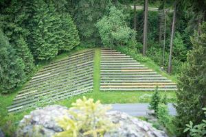 bench seats in forest photo