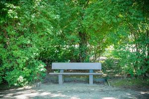 Wooden bench in city park photo