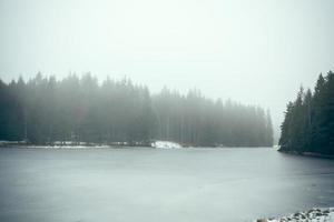 Forest lake in fog II photo