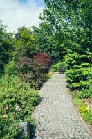 Stairs in the garden II photo