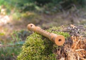 Flute on a tree trunk photo