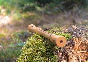 Flute on a tree trunk photo