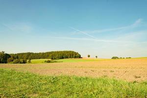 tierras de cultivo en el verano foto