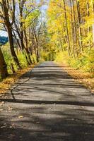 country road in autumn photo