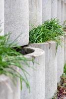 Garden wall formed of cylindrical containers photo