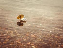Stone and autumn leaf reflected in shallow water photo