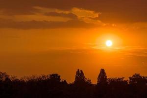 espectacular puesta de sol de fuego naranja vivo sobre los árboles foto