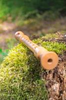 Flute on a tree trunk photo