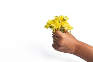 Hand holding yellow flowers on a white background. Copy space. Floral minimalistic concept. photo