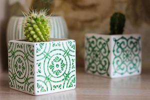 Small cacti in white clay pots of cubic shape with a beautiful ornament. Home interior. photo