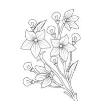 balloon flower coloring page line art with blooming petals and leaves illustration vector