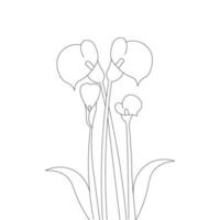 calla lily flower coloring book page of hand drawing illustration for print vector