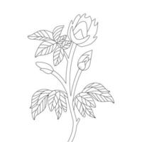 conceptual line art hand drawing template of monochrome single stroke flower vector