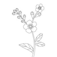 flower sketch with line drawing graphic element for printing coloring page vector