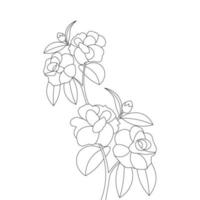 flower branch outline coloring page with leaves contour line art vector