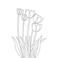 tulip flower line drawing of black design coloring page vector graph