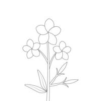 blooming petal with leaves flowers isolated coloring page drawing for kids vector