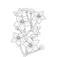 balloon flower coloring page line art with blooming petals and leaves illustration vector