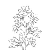 blooming flower of print template coloring page line art design illustration vector