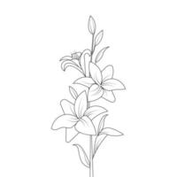 flor de lirio con capullo decorativo vintage para colorear diseño de esquema de página sobre fondo blanco vector