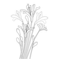 flower blooming coloring page with hand drawn line art design on black background vector