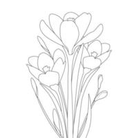 crocus flower coloring page and with saffron flower hand drawn line art design on black background vector