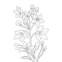 balloon flower coloring page line art with blooming petals and leaves illustration vector