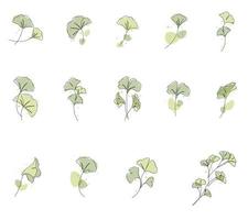 One line drawing of ginkgo leaf water color style vector set illustration