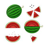 Fresh and juicy slice and whole watermelon set vector