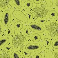 Seamless pattern with green papaya vector