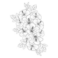 china rose flower doodle coloring page illustration with line art stroke vector