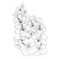 ilustración de página para colorear de garabato de flor de rosa de china con trazo de arte lineal vector