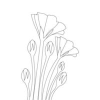 blooming petal of flower branch coloring book page element for kids drawing vector