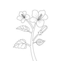 kids coloring page of hibiscus flower illustration with line art stroke vector