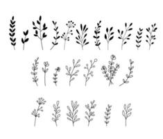 Wildflowers and flowers collection drawing line art vector. Set of Isolated simple plants and leaves in outline style on white background vector