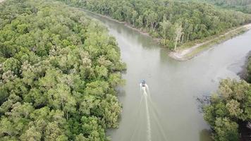 Aerial view fishing boat move towards mangrove forest. video