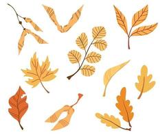 Branch with autumn leaves. Set of Flat botany elements. Modern fall seasonal decor. Floral silhouettes graphic design. Vector hand draw illustration isolated on the white background.