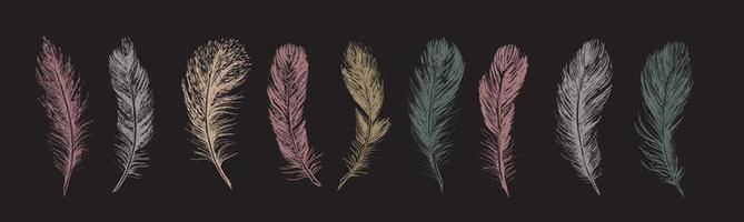 Feathers set. Hand drawn sketch illustrations. vector