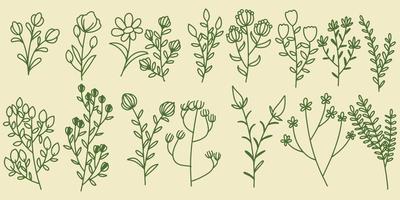 Sixteen Hand drawing set floral botanical fern forest elements vector