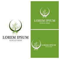 Tree icon and symbol vector template
