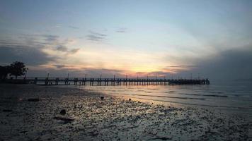 Jerejak Jetty with sea creatures move at the beach. video