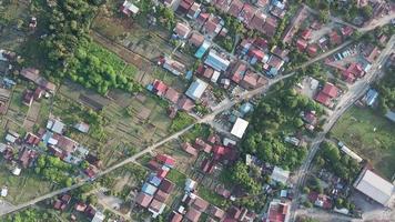 vista aerea fattoria di ortaggi a bukit mertajam, penang, malesia. video