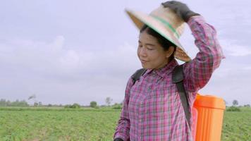 la mujer campesina está trabajando sonriendo a la cámara, las sonrisas están felices de trabajar en el campo, la agricultura asiática en las zonas rurales de tailandia, la felicidad del retrato de dama adulta en la plantación de yuca en el sudeste asiático, video