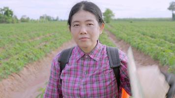 la donna contadina sta lavorando sorridendo alla telecamera, i sorrisi sono felici di lavorare in campagna, l'agricoltura asiatica nelle zone rurali della Thailandia, la felicità del ritratto adulto della signora nella piantagione di manioca nel sud-est asiatico, video