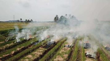 fogo aberto em campo causa emissão de fumaça no sudeste da Ásia. video