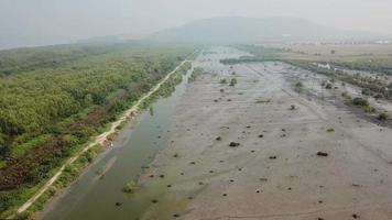 Fly over the wetland with left mangrove trees and right dead trees video