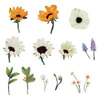 watercolor sunflower and white anemone flower bouquet elements collection vector