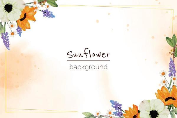 watercoolor yellow sunflower and white anemone flower bouquet banner background