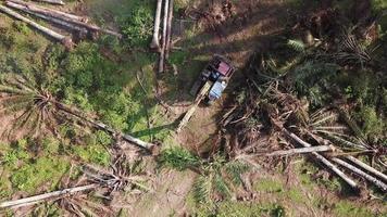 Limpieza de tierras de palma aceitera con excavadora en malasia, sudeste de asia. video