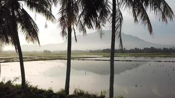 Aerial sliding view Bukit Mertajam hill with coconut tree as foreground. video